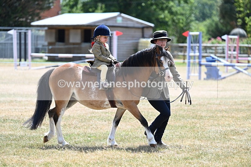 WJ7_2656 - Class 6 Ridden Mountain and Moorland
