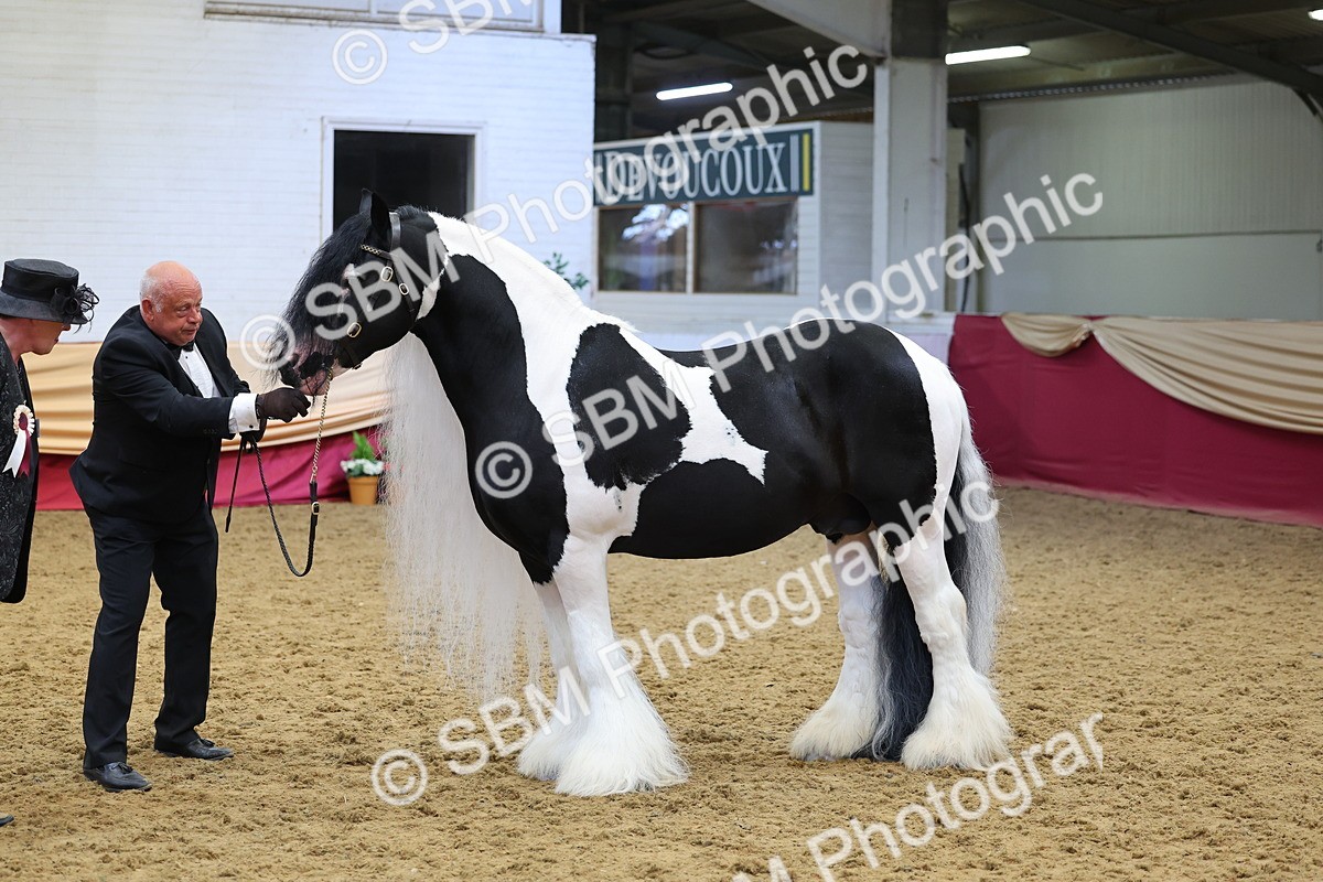 SBM_22727 - Class 903 - Supreme Final - IH Pre Vet