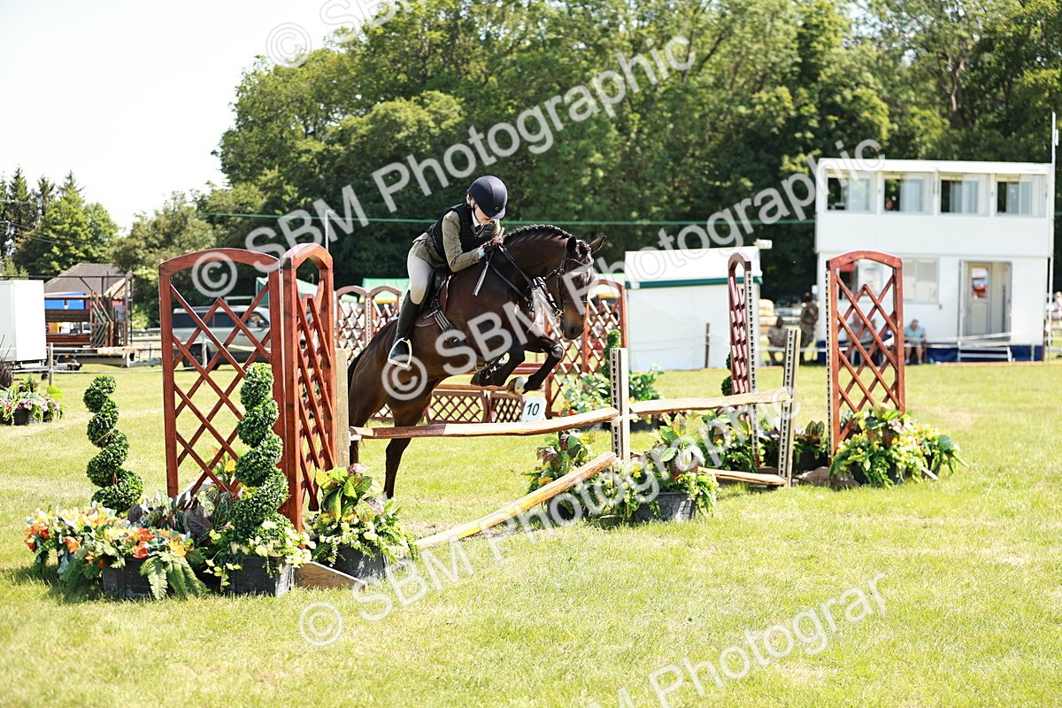 SBM_17582 - Class 112-113 - BSPS LIHS Working Sports Pony