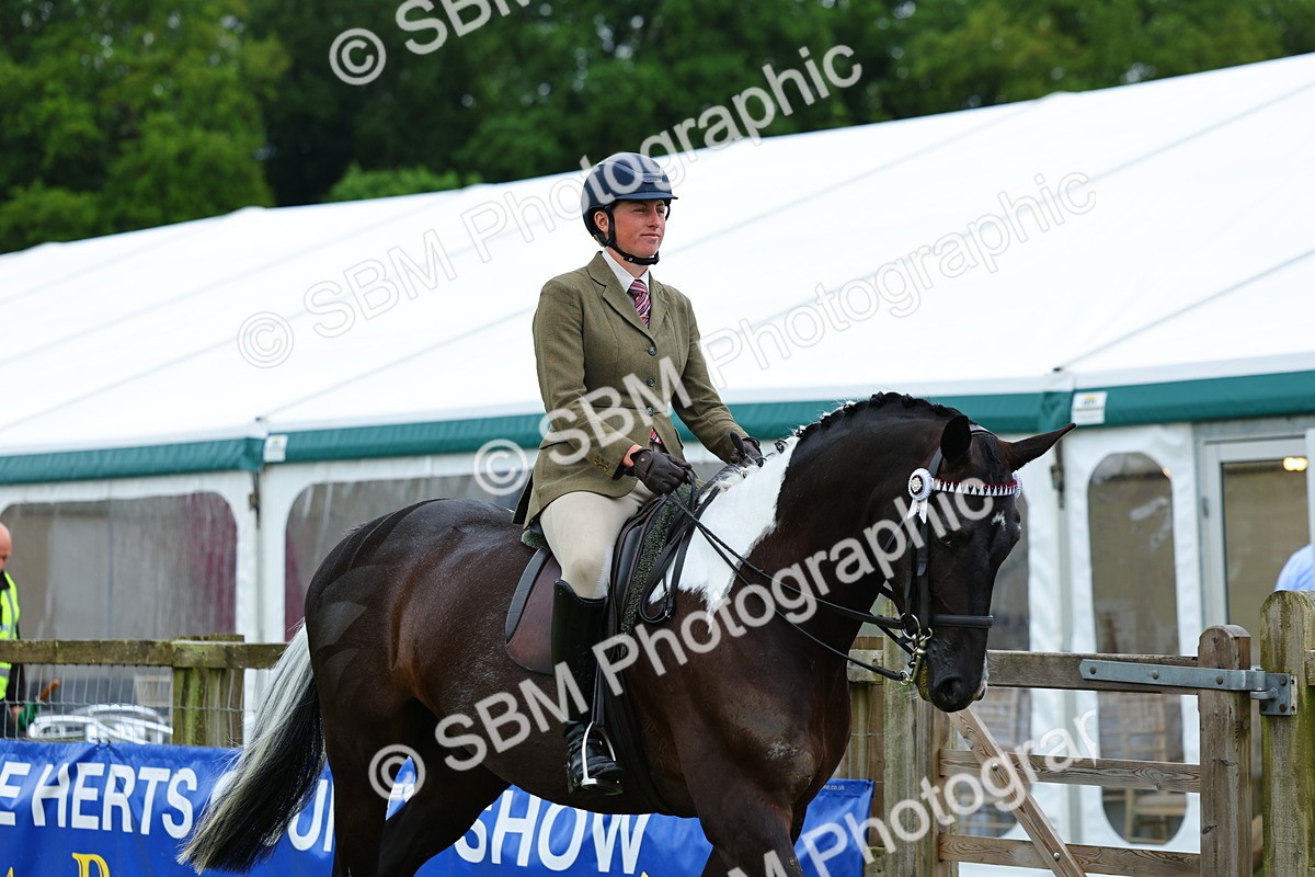 SBM_02460 - Class 9-11 Side Saddle including LIHS Rising Star Ladies Show Horse