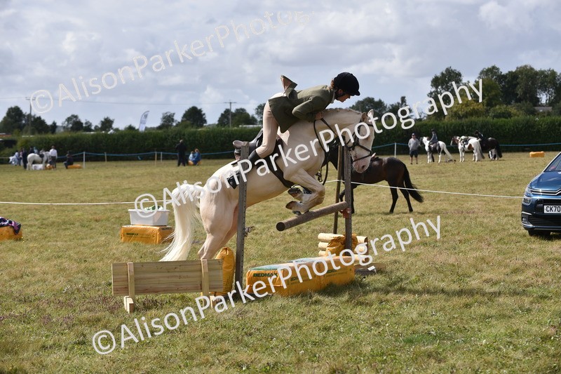 20250831-4082 - Class 13 - Working Hunter Horse or Pony