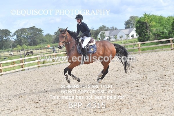 BPP_4315 - CLASS 12 SUN Senior British Novice/ 90cm Open