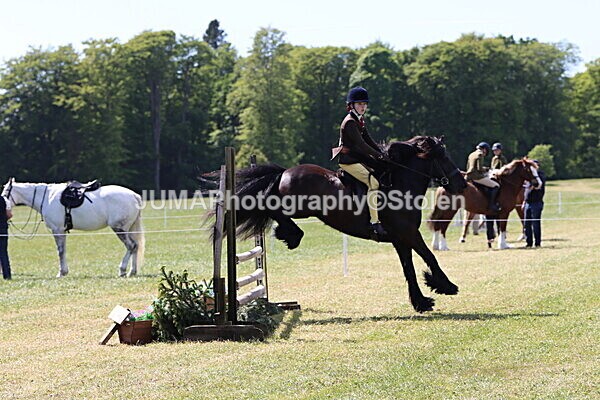 IMG_4293 - Working Hunter