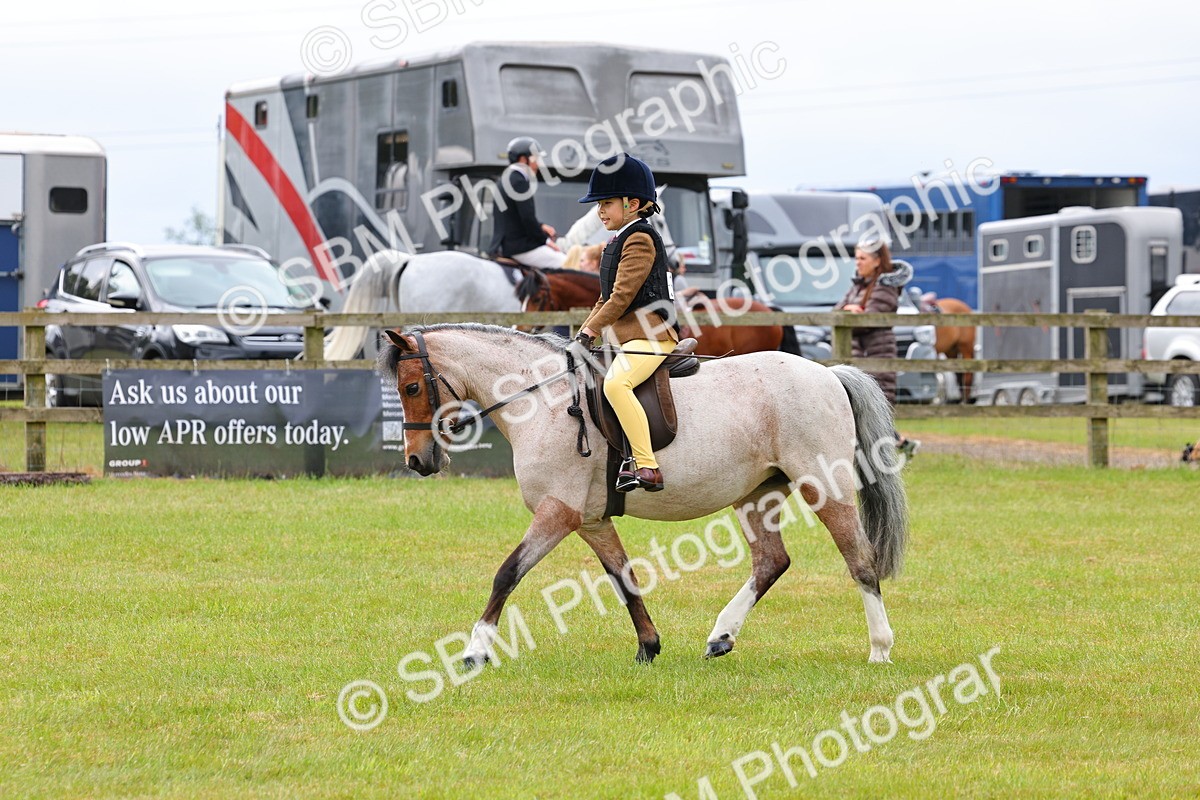 SBM_08591 - Class 42-43 - LIHS BSPS Heritage Working Sports Pony