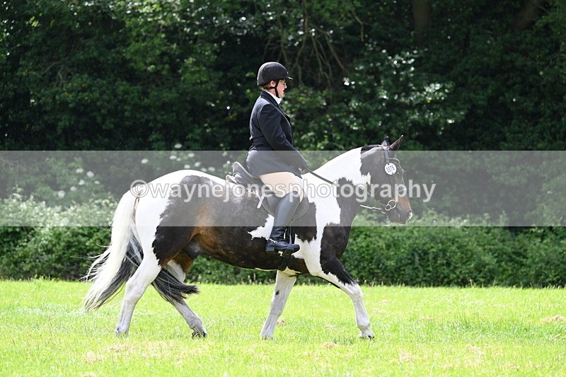WJ7_2644 - Class 12A Coloured Class