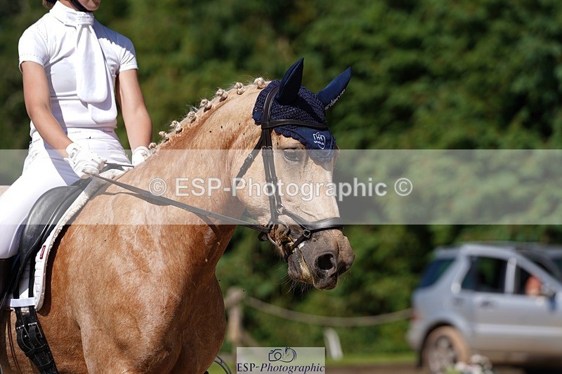 240719-154540-02752 - 103-Elissa_Franks-Golden_queen