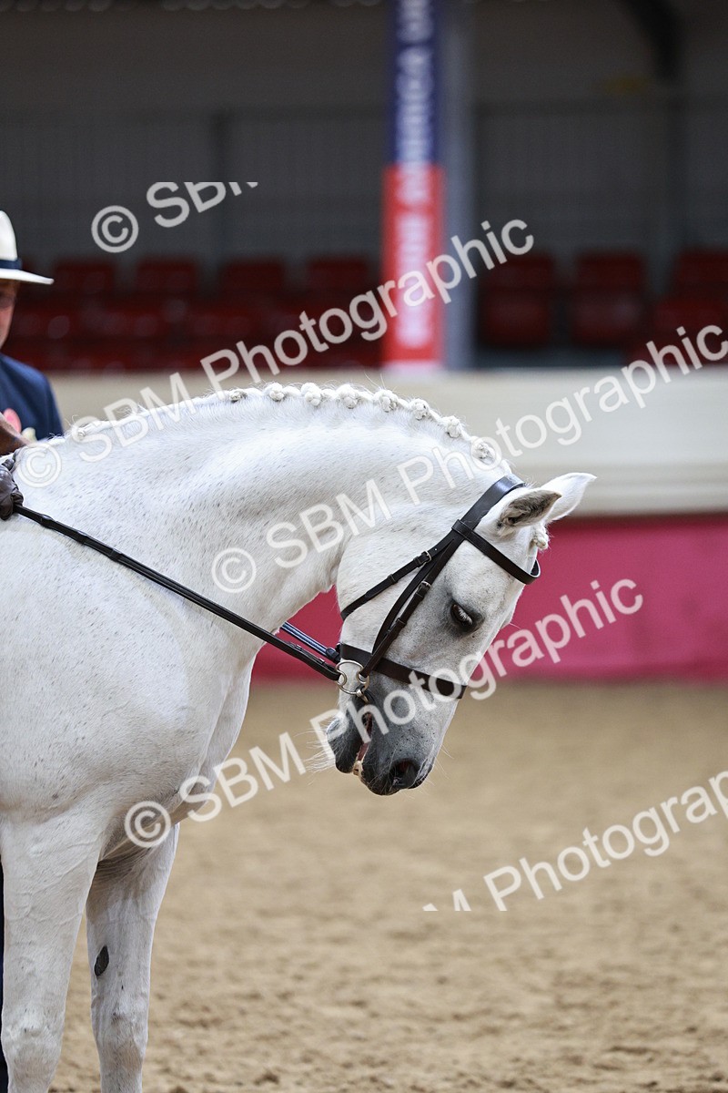 SBM_03022_Class 5a - Area - Ridden Veteran - Vicky Gutteridge