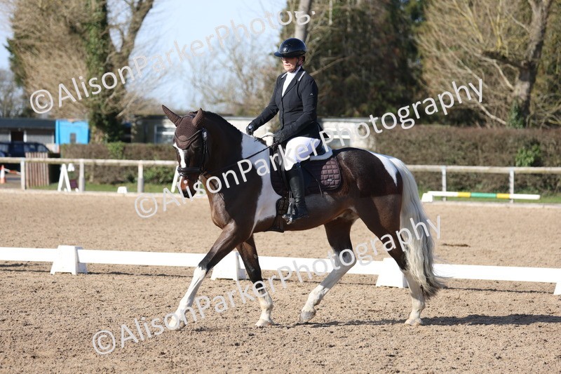 20260214-0513 - Class 5 - Novice 3