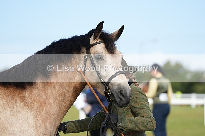 DSC05018 - Class 48: NPS M&M 2/3 year olds