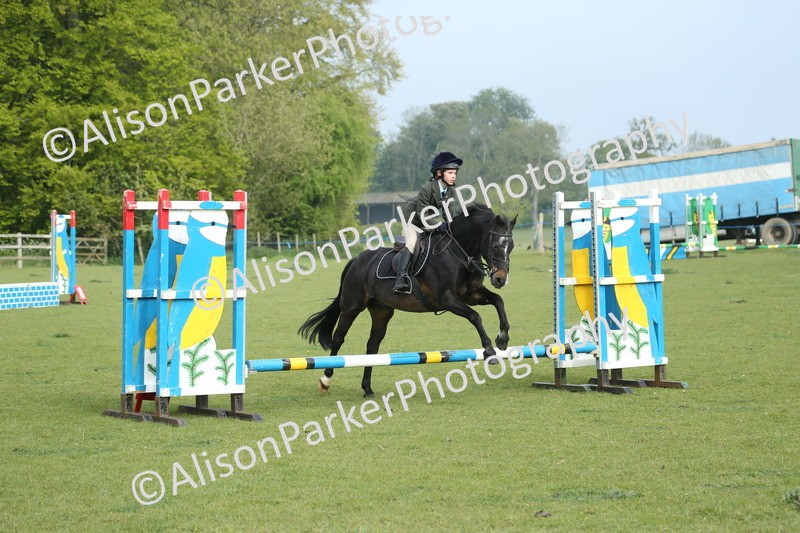 20260426-0005 - Class 13 - Rookie Jumping 50cm