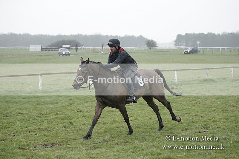 PtP 150320 0096 - New Forest Point-to-Point Larkhill 15/03/20