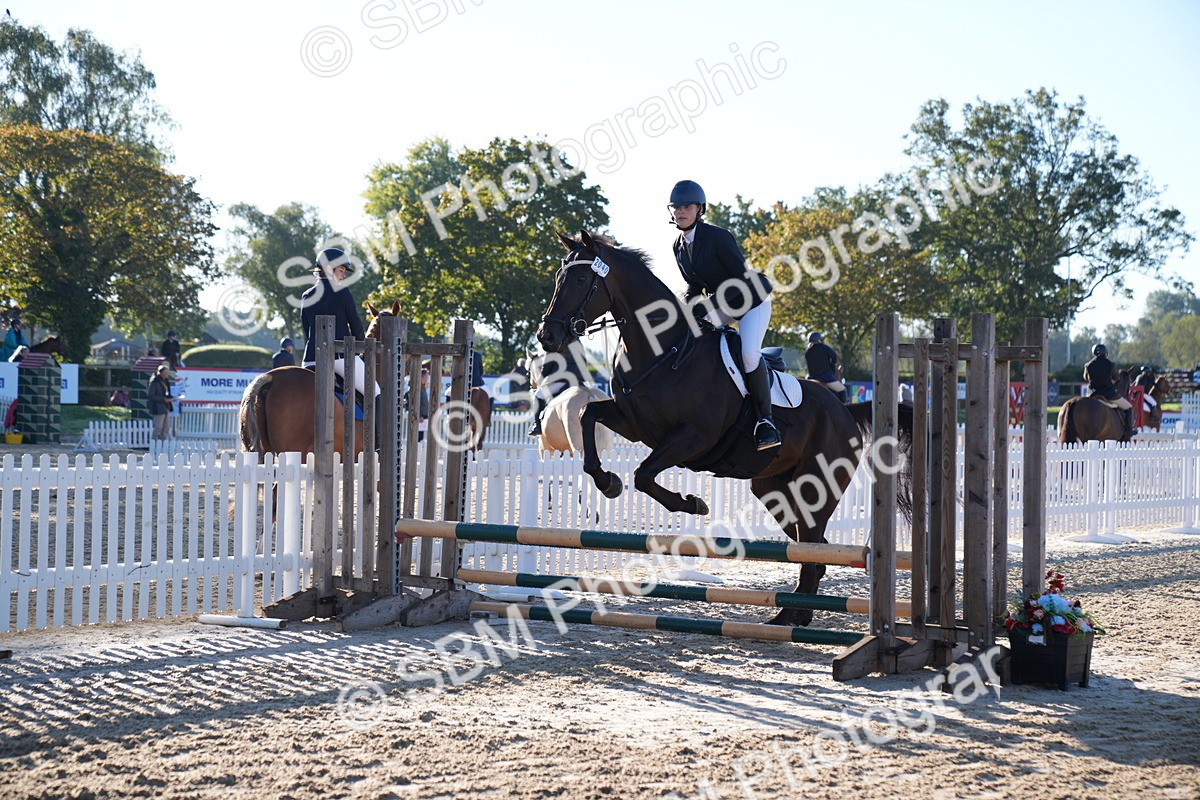 SBM_14054 - J59 - Clear Round - 65cm