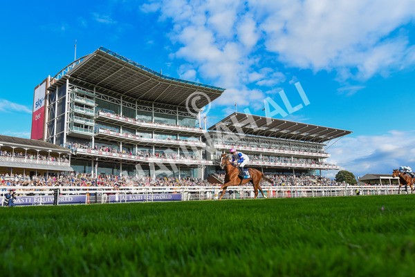 240823-Race 7-Nigiri-1359 - Race 7 5.20pm British EBF 40th Anniversary Fillies' Handicap