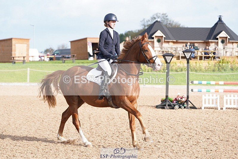 241005A-100524-04399 - SAT Cls 8 Snr British Novice & 90cm Open