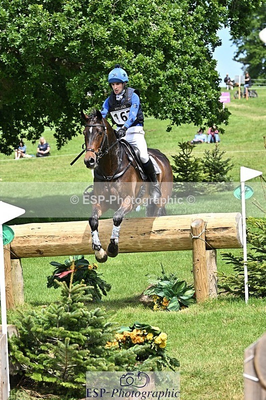 240525-140953-14730 - 162-HAZZLE_DAZZLE-Henry_Hobby