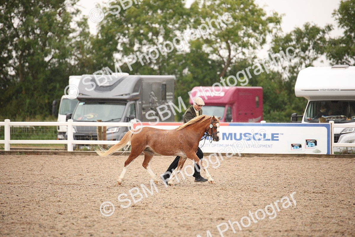 SBM_20714 - Class 705 - IH  Combination 65+