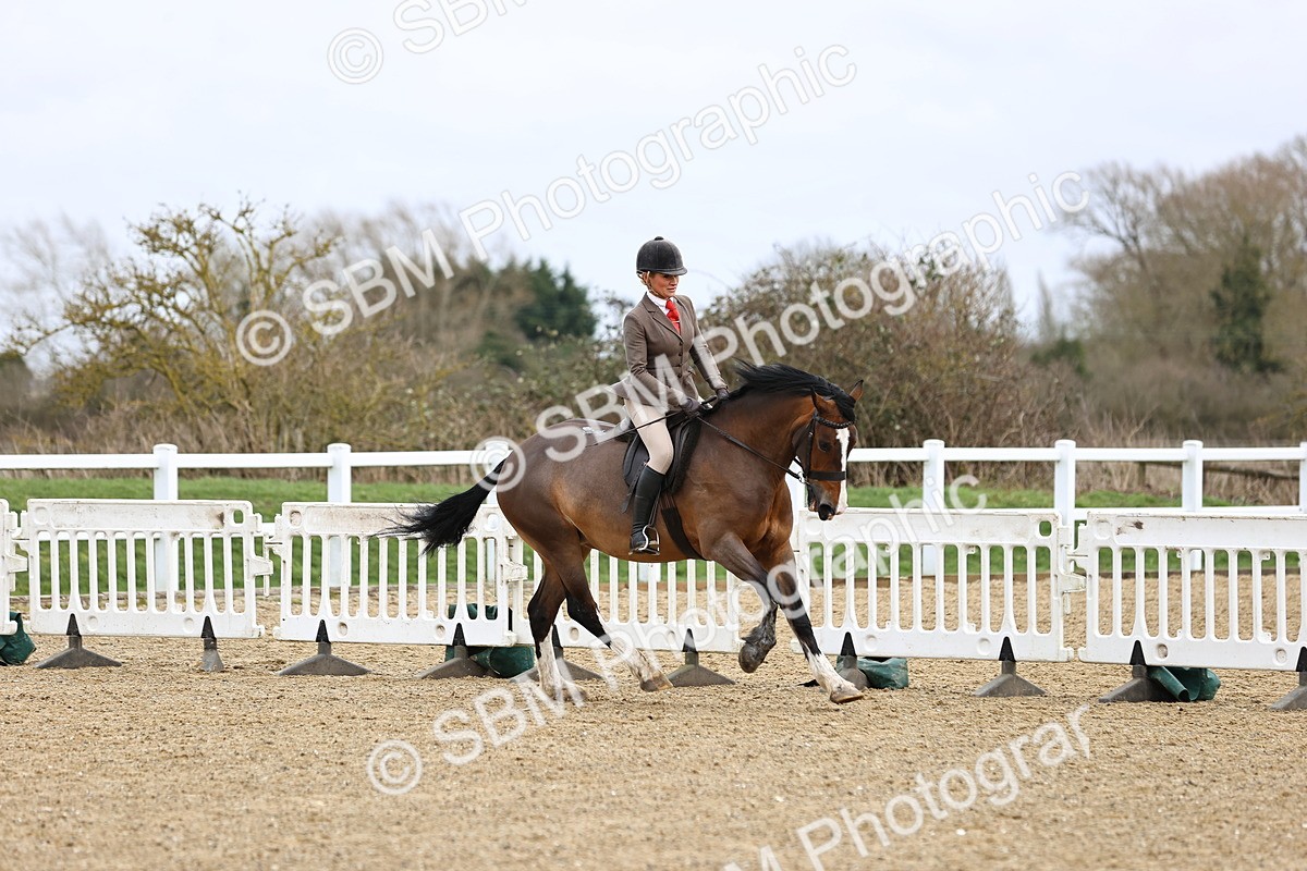 SBM_006962 - Class 29 - 30 - M&M Pure Novice Small-Large Breeds