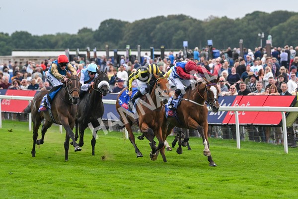 220825-Race 1-Asgards Captain-6625 - Race 1 1.50pm Sky Bet Handicap