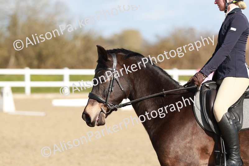 20260314-4316 - DR4 - Prelim 2