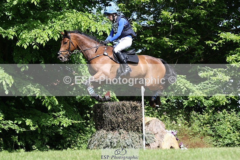 230527-102525-08328 - 255-HI_MR_HENRY-Henry_Hobby-XC