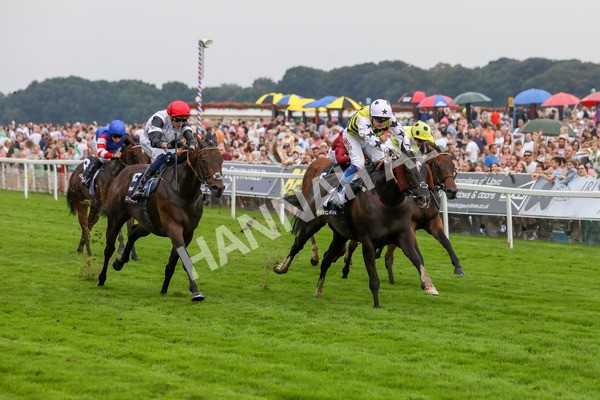 100923-Race 5-Commanche Falls-3954 - Race 5 3.50pm BetGoodwin Garrowby Stakes