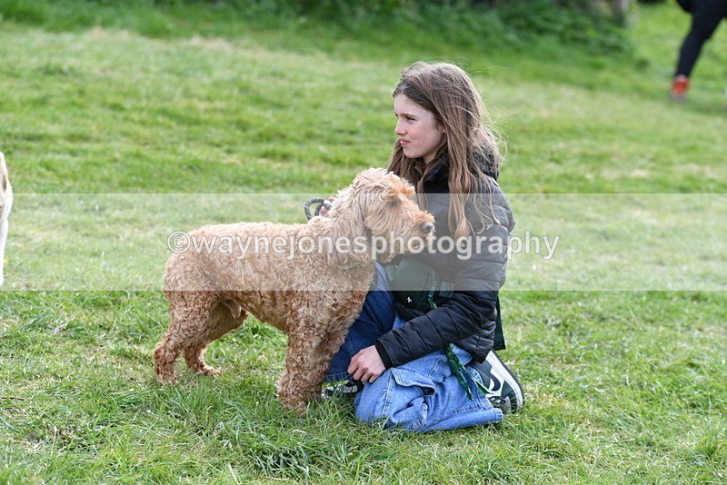 WJ5_0197 - Class 5 Best Veteran / 7 years & over