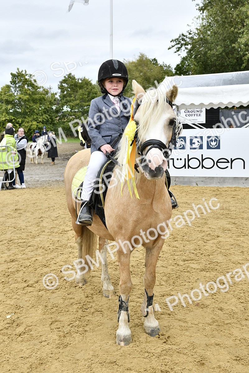 SBM_66246 - J2a mini Tour Junior Pony 30cm Championship