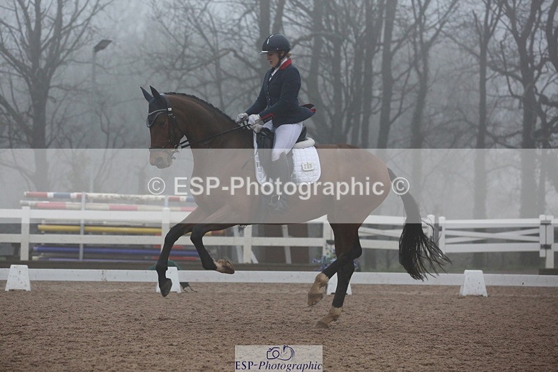 240217A-161820-04385 - 209-Charlotte.Dicker-Catherston.Tarantella