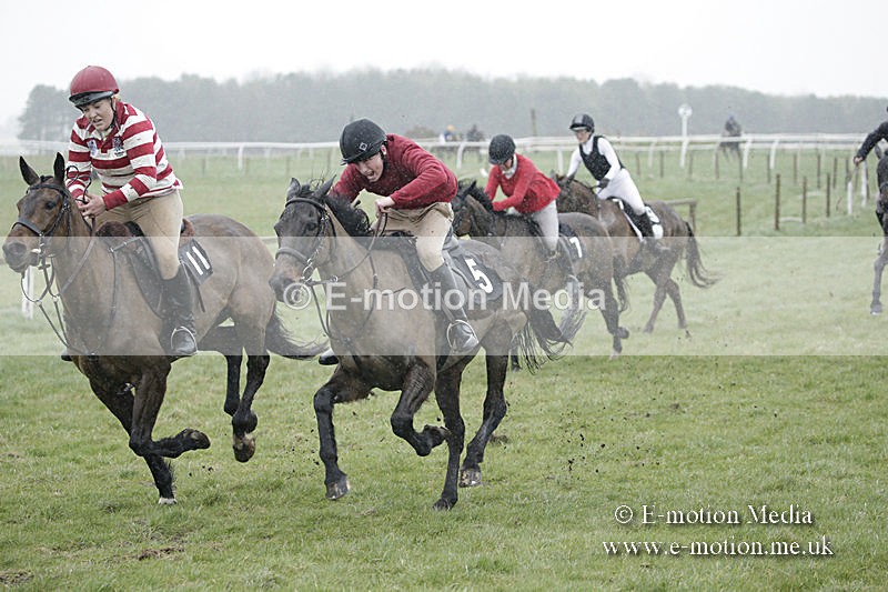 PtP 150320 0019 - New Forest Point-to-Point Larkhill 15/03/20
