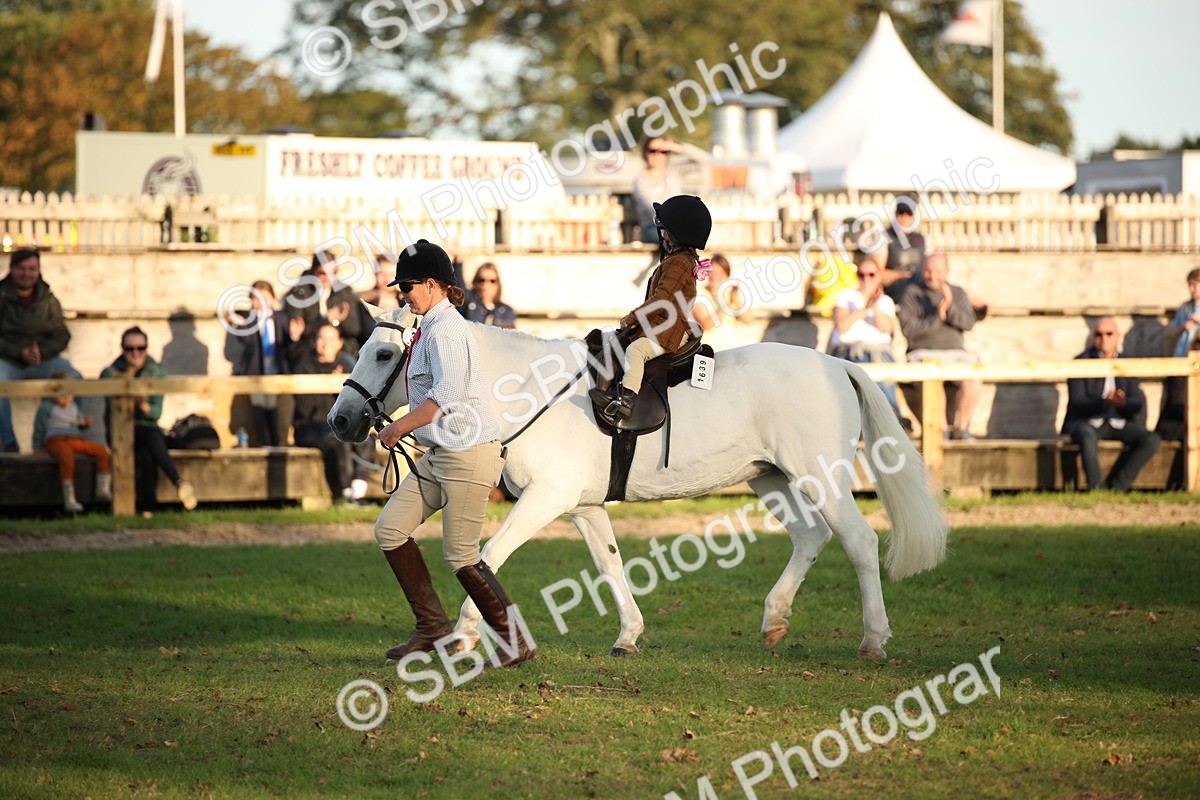 SBM_54462 - S27 - Mature Veteran - Ridden