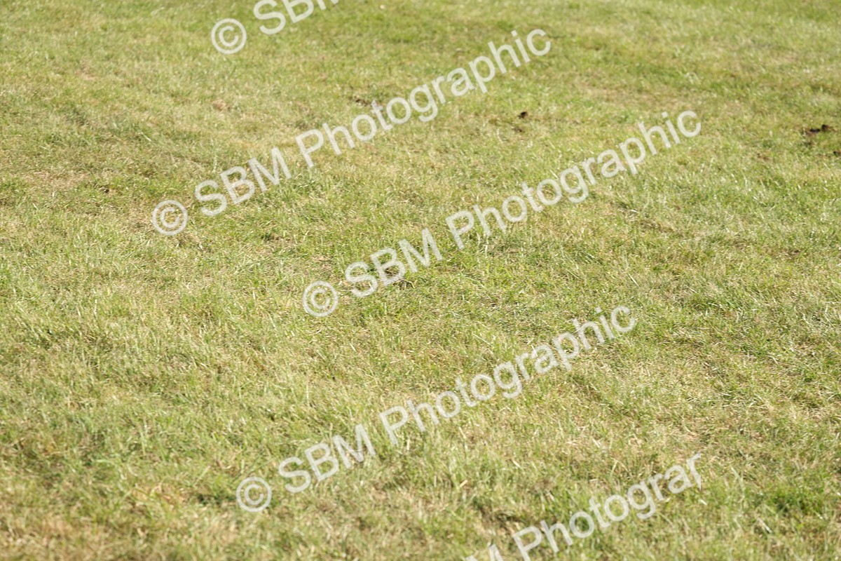 SBM_10293 - Class 33-38 - SSADL RIHS Qualifiers