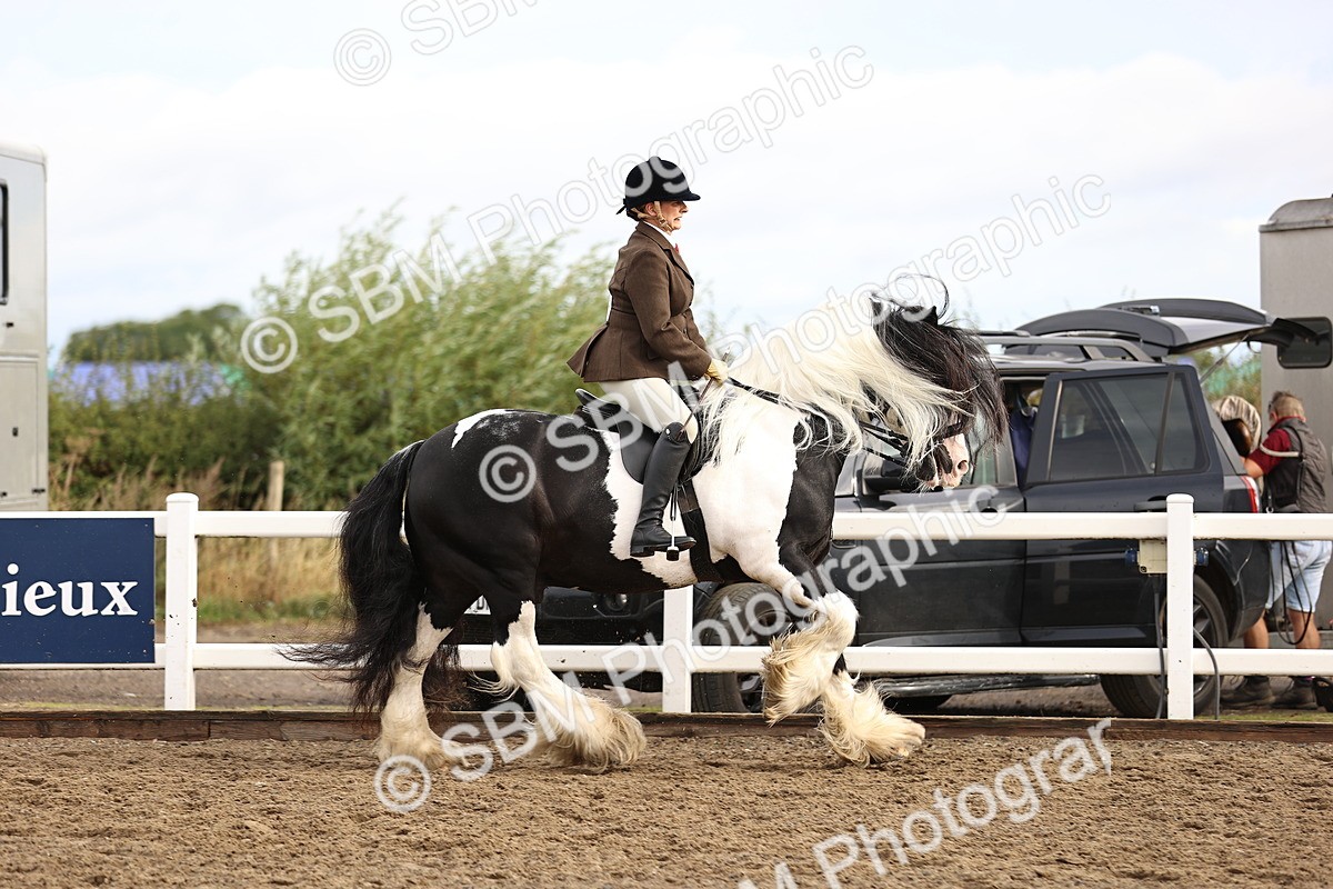 SBM_00255
