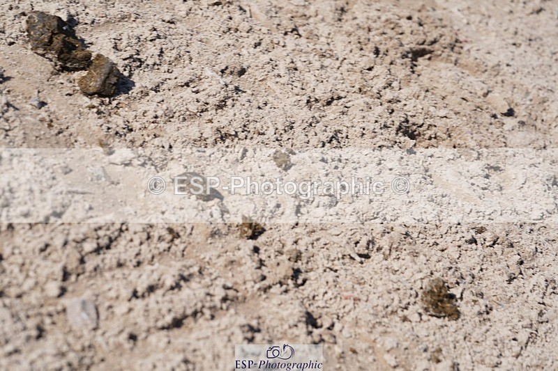 240728-092948-00513 - PC70, Round 1