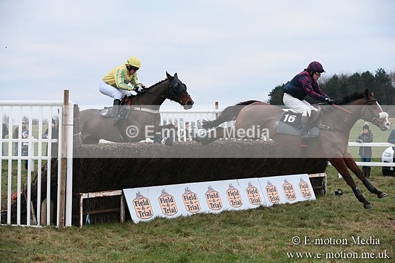 PtP 060119 582 - Larkhill Racing Club - Point-to-Point- 06/01/2019