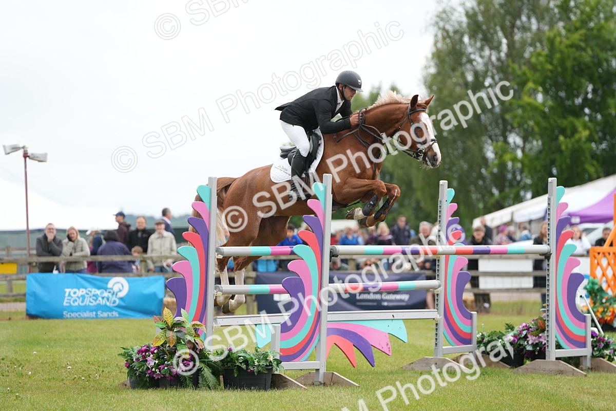 SBM_03214 - Class 201 - British Horse Feeds Speedi Beet Horse of the Year Show Grade  C