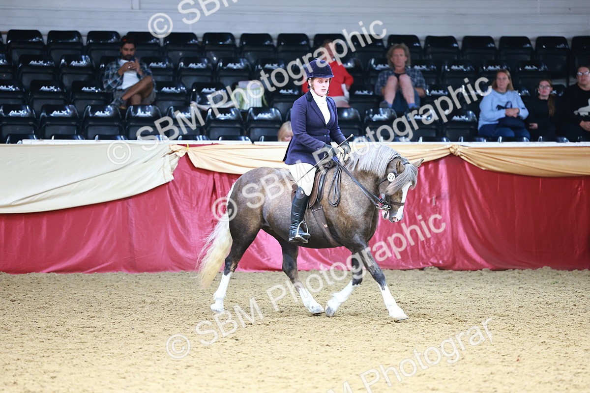 SBM_23769 - Class 905 - Supreme Final - Ridden Veteran