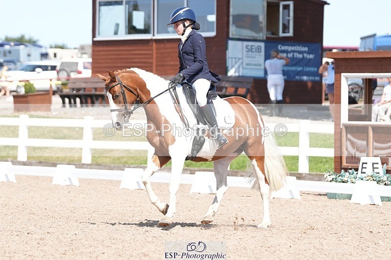 250817-144159-11029 - 199-Emily.BryerHarroway.Faerie.Dust