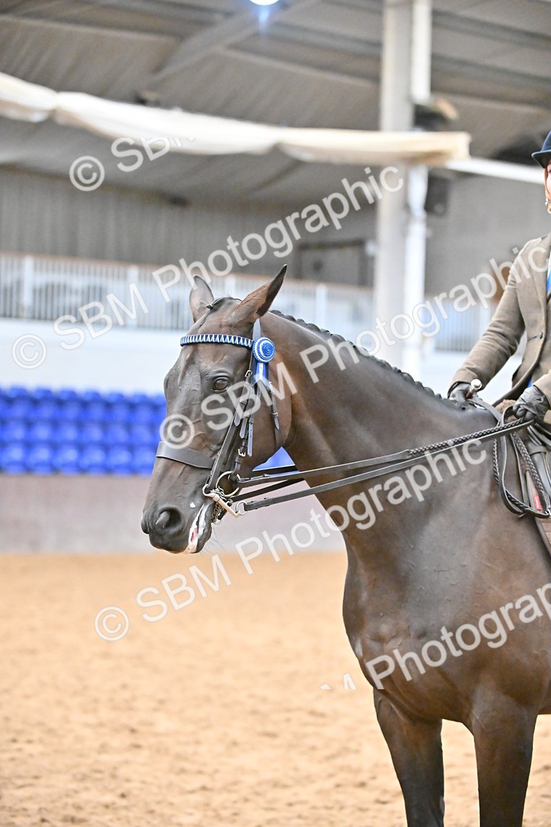 SBM_002375 - Class 22 - BSHA Ridden Hack & Riding Horse