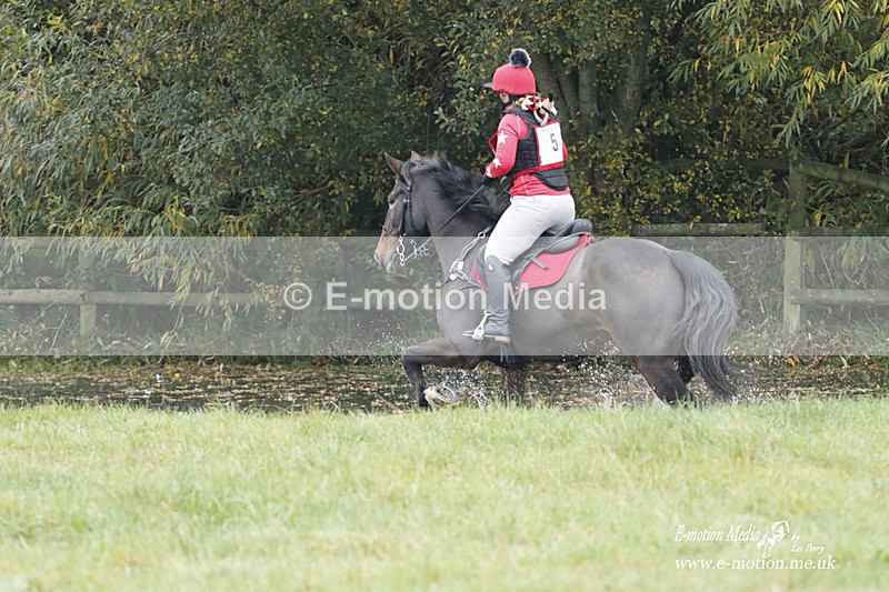 WWHT 171021 0311 - Novice Restricted (0.80m)  17/10/21