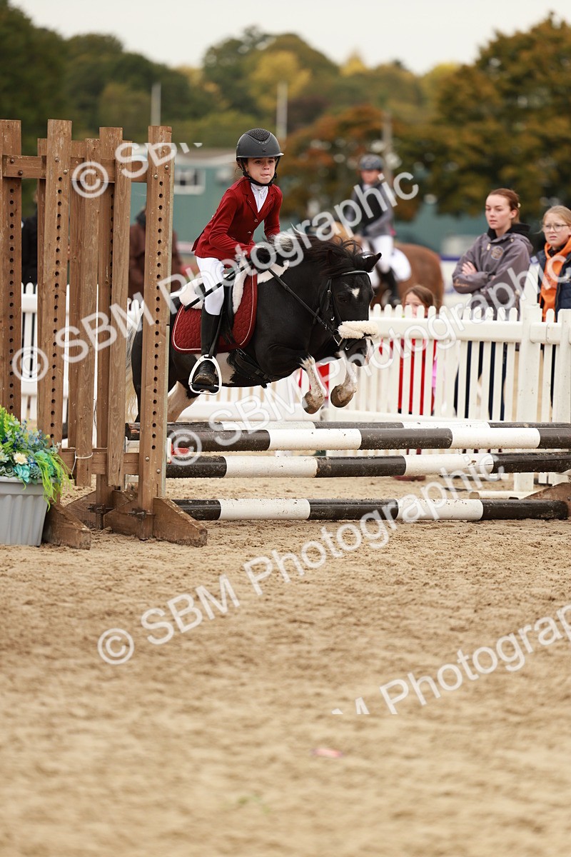 SBM_57929 - J11 - Junior Pony 50cm Championship