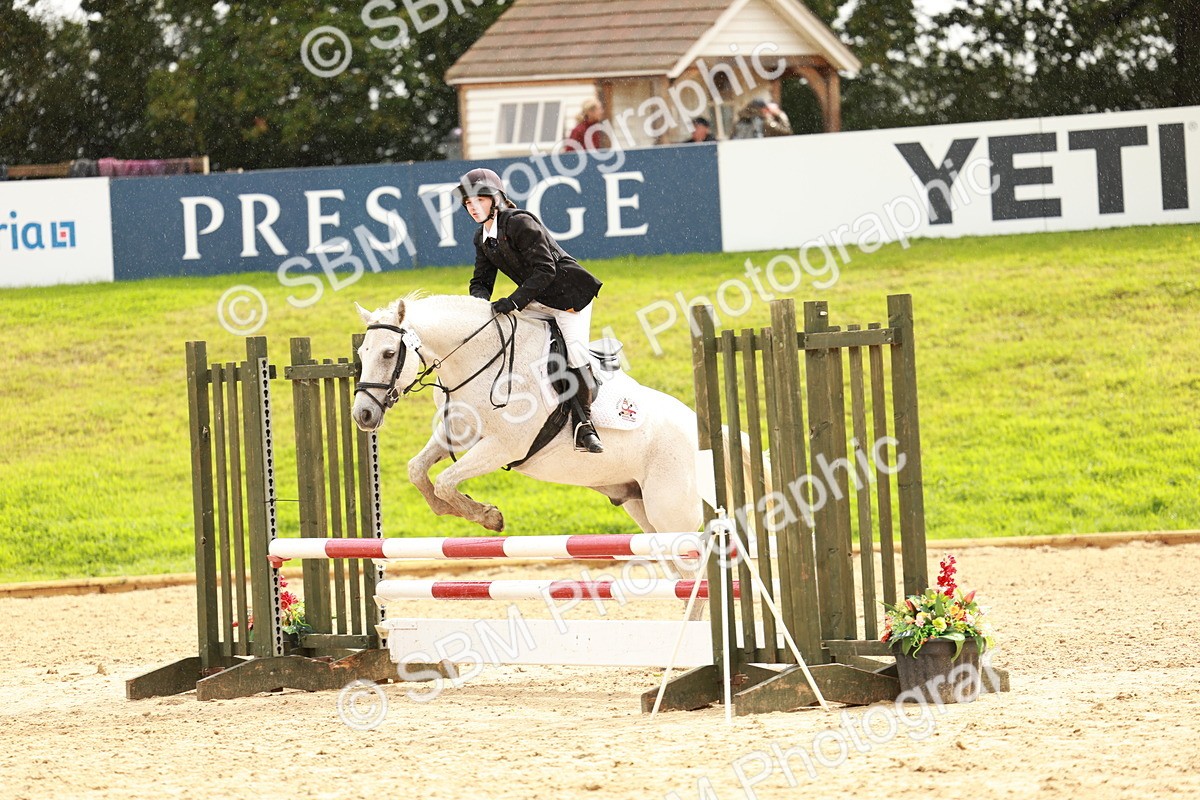 SBM_38380 - Supreme Championship 80cm 85cm