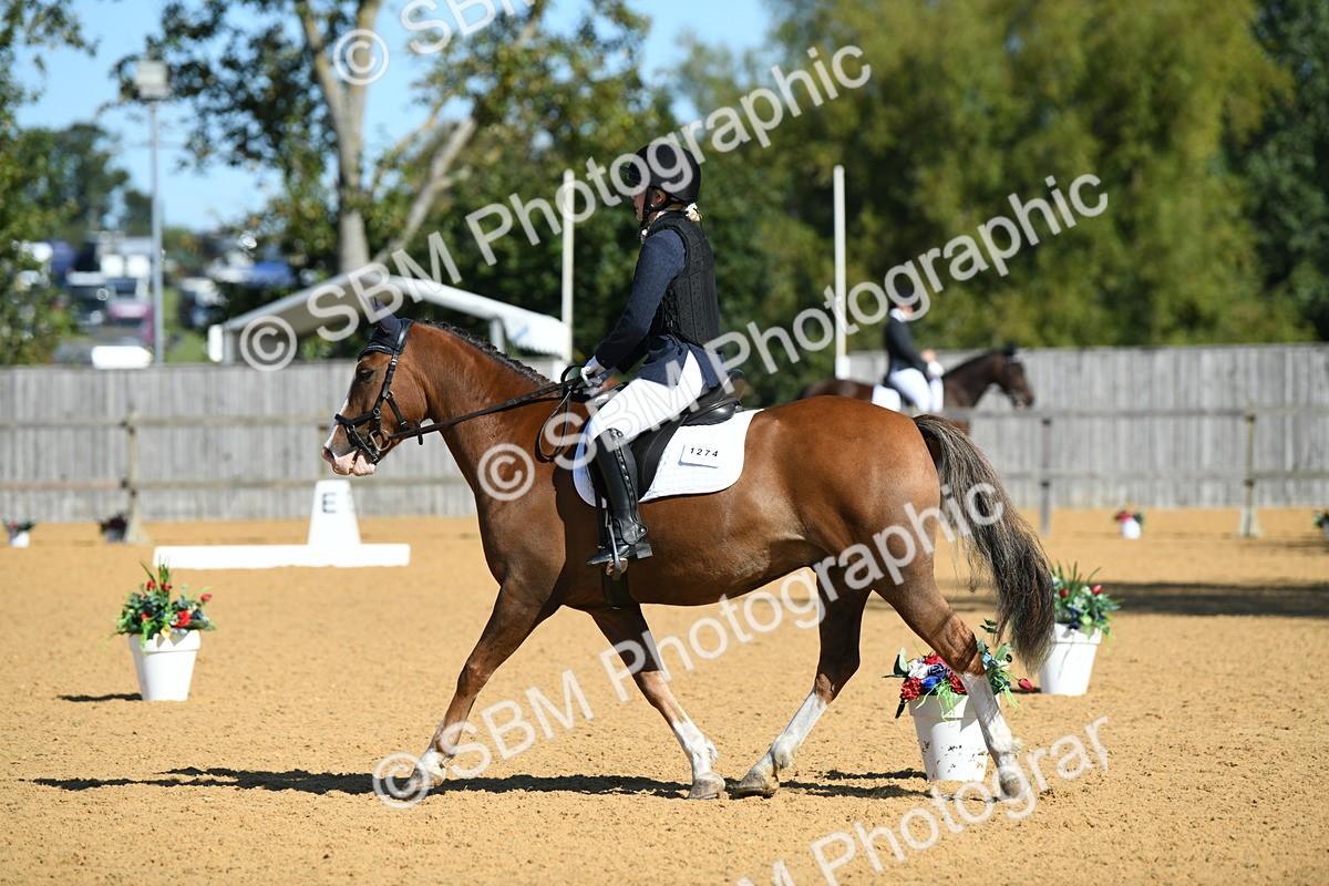 SBM_18132 - D4 - Small Tour Championship - Intro B