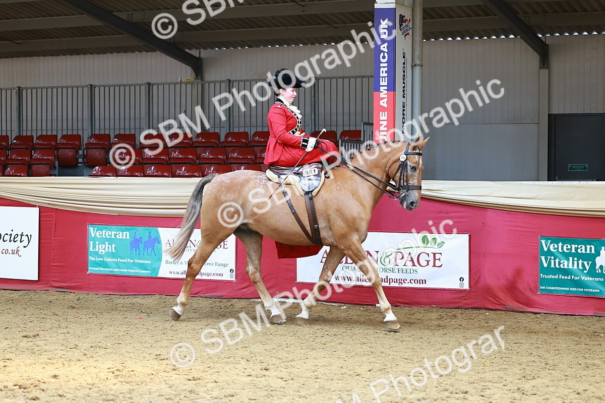 SBM_13858 - Class 106 - Ridden Costume - Side Saddle