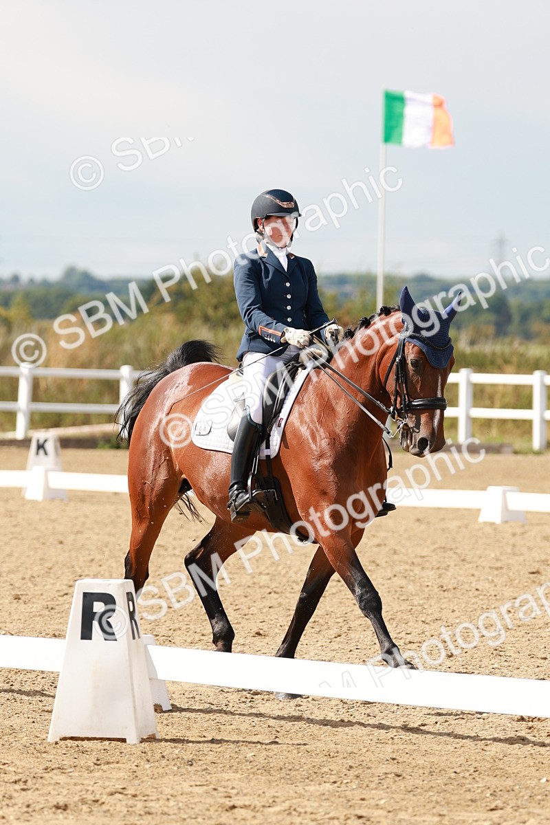 SBM_002499 - Class 11 - Medium 6