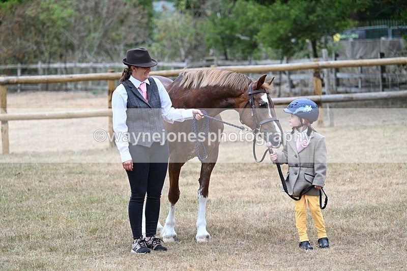 WJ7_8090 - Class 4 Prettiest Mare up to 14.2hh