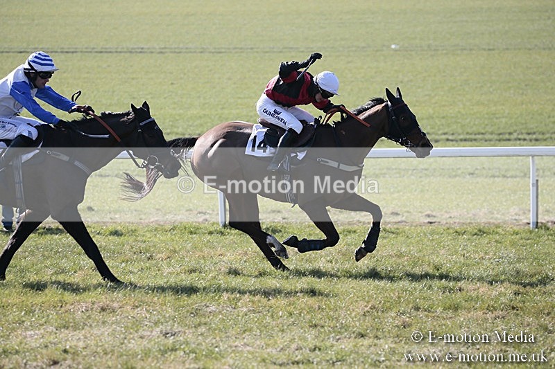 PtP 240218 64 - Vine & Craven Hunt Point-to-Point Barbury racecourse 24/02/18