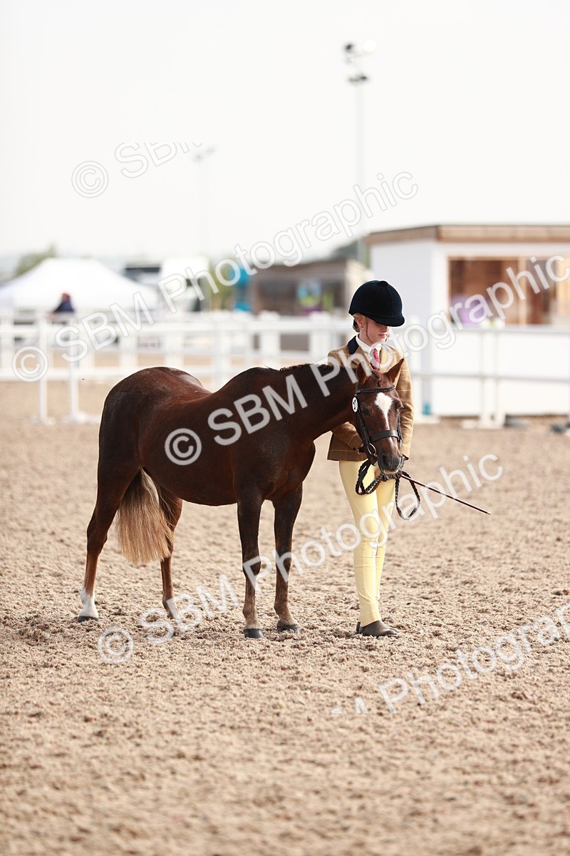 SBM_10605 - Class 204 Young Handler, 11-16 years