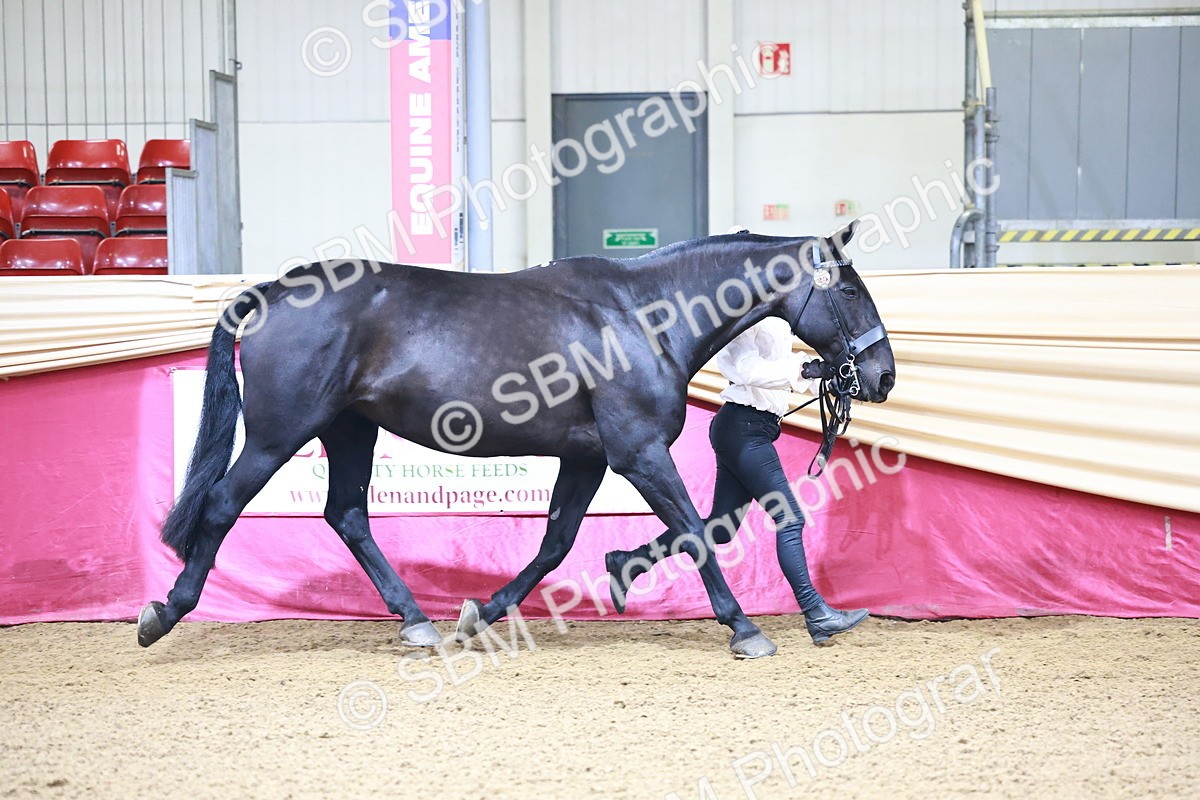 SBM_21635 - Class 901 - Supreme Final - IH  Diamond