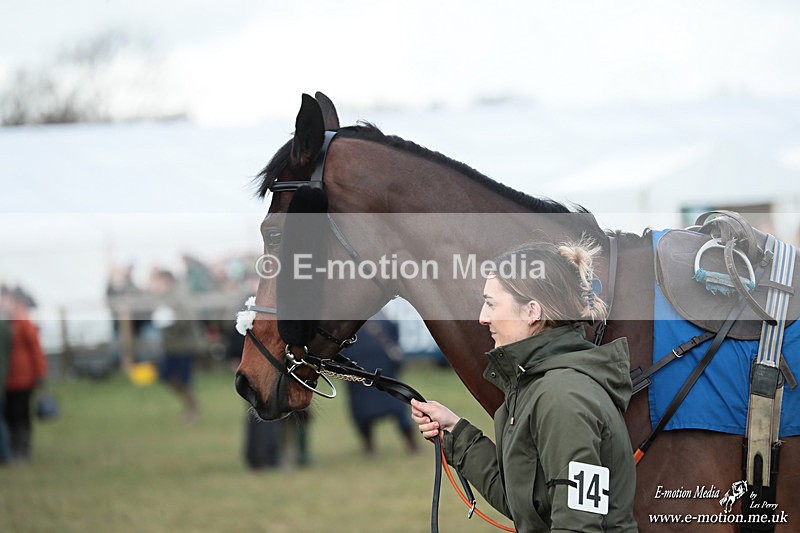 PtP 250126 29 - Cocklebarrow Races Point-to-Point 25/01/26