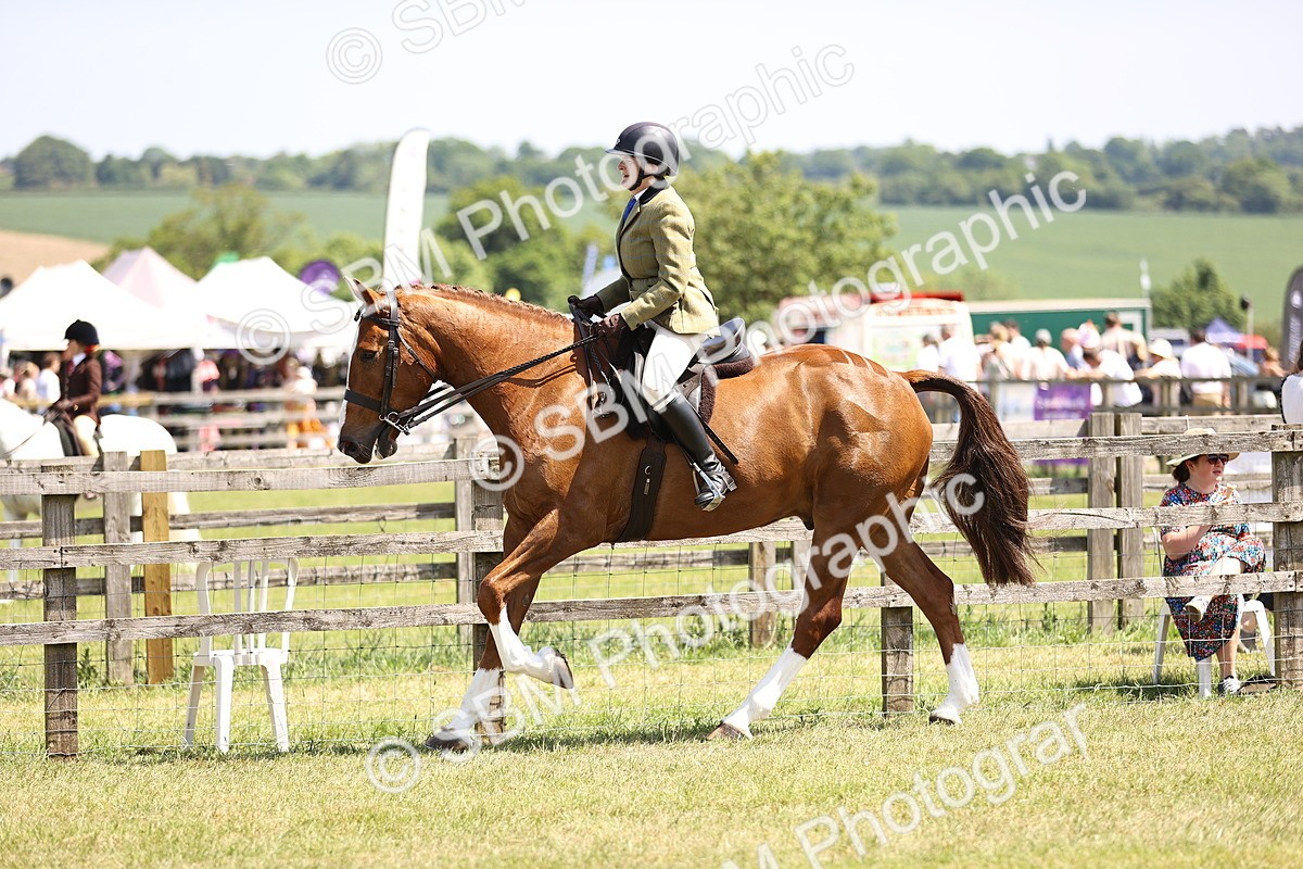 SBM_15080 - Class 79-80 - LIHS BSHA Rising Star Ridden Hunter